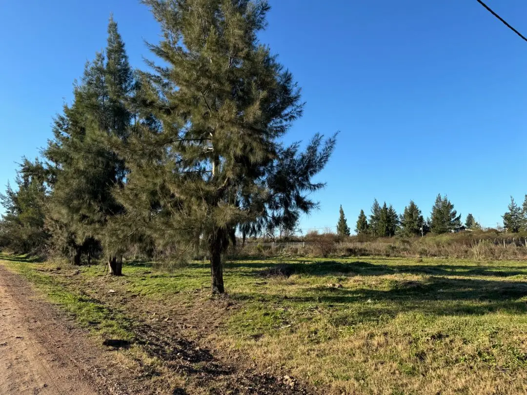 Terreno en venta en Concepción del Uruguay — foto 3
