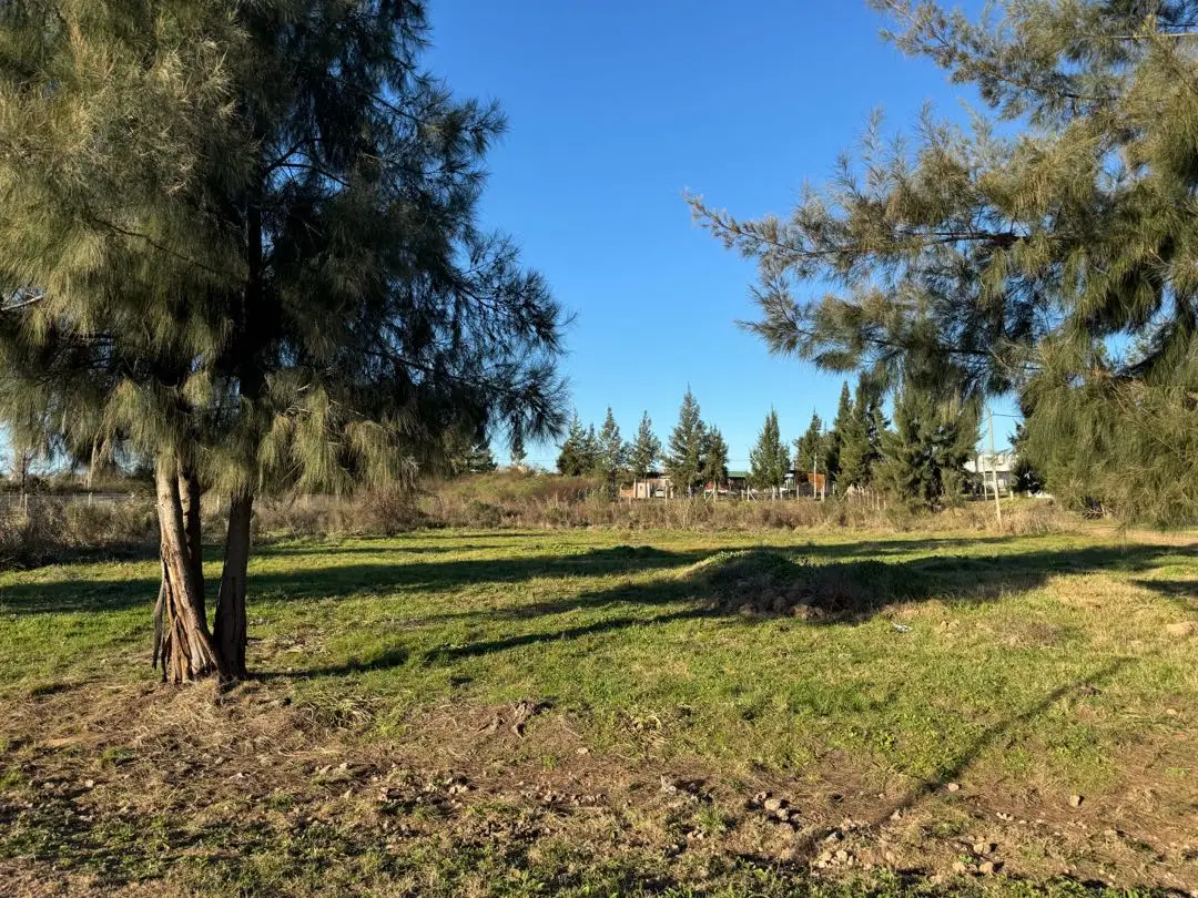 Terreno en venta en Concepción del Uruguay — foto 5