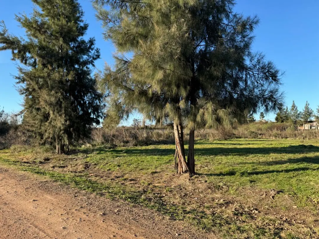 Terreno en venta en Concepción del Uruguay — foto 6