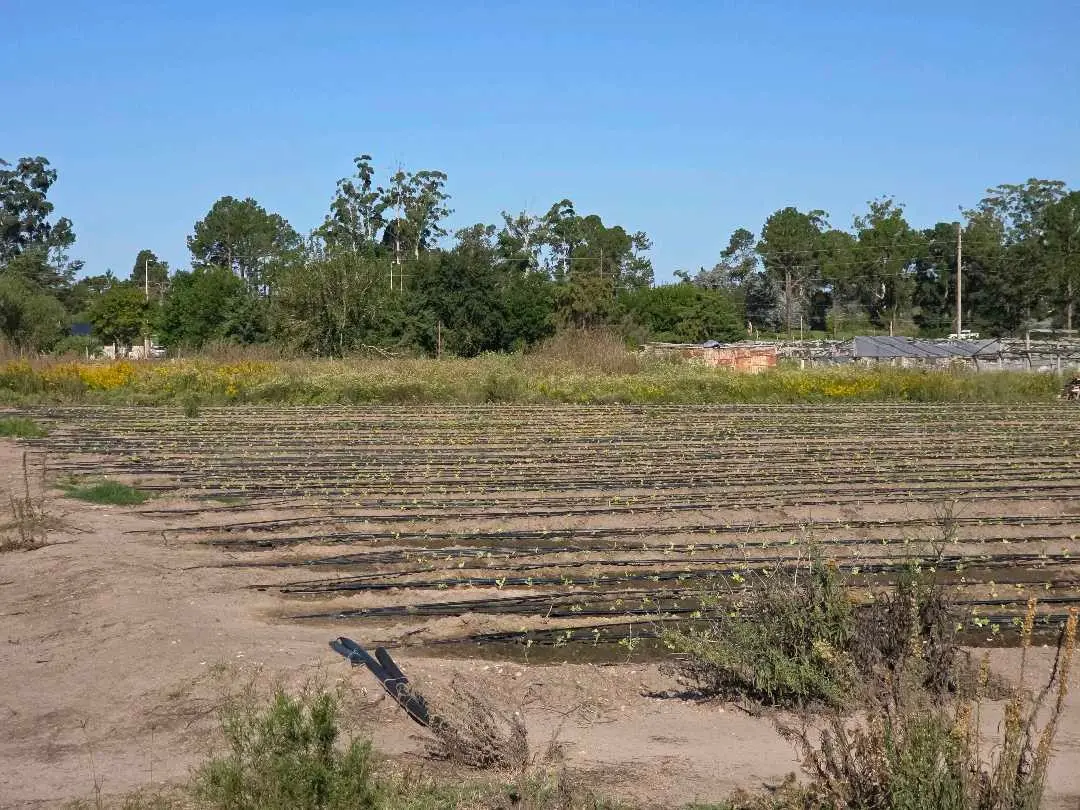 Terreno en venta en Concepción del Uruguay — foto 2