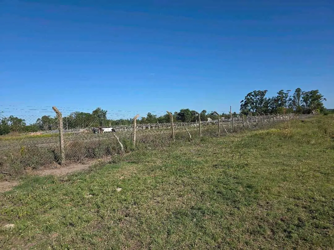 Terreno en venta en Concepción del Uruguay — foto 4