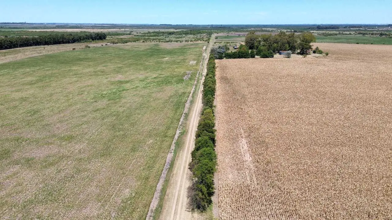 Terreno en venta en Gualeguaychú — foto 3