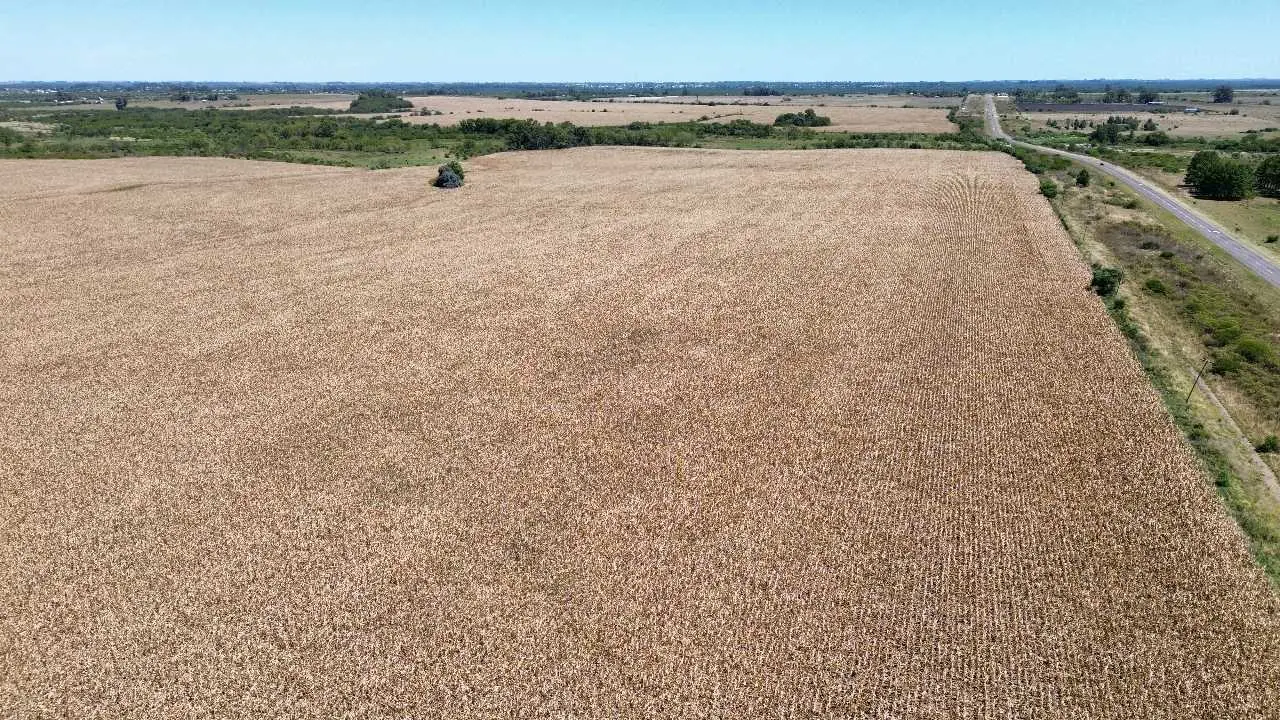 Terreno en venta en Gualeguaychú — foto 4