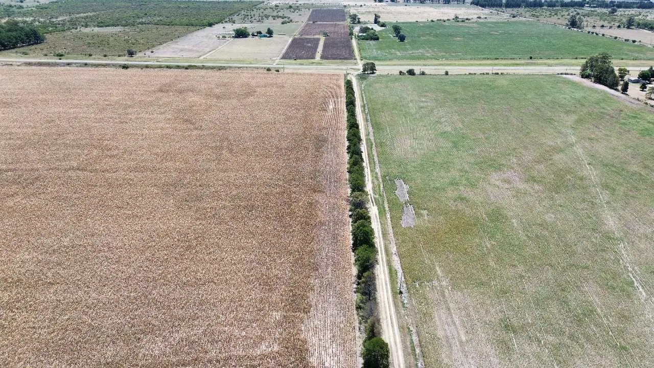 Terreno en venta en Gualeguaychú — foto 5