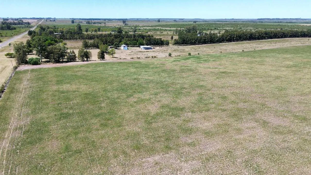 Terreno en venta en Gualeguaychú — foto 6