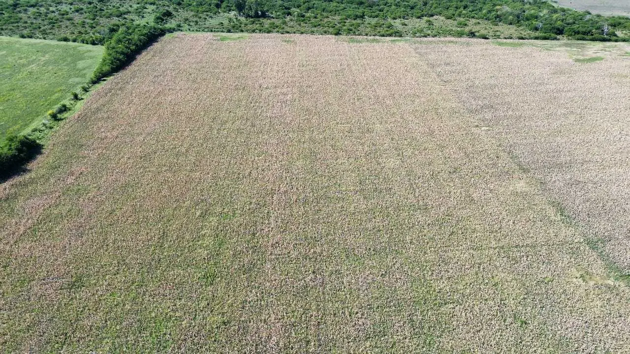 Terreno en venta en Concepción del Uruguay — foto 4