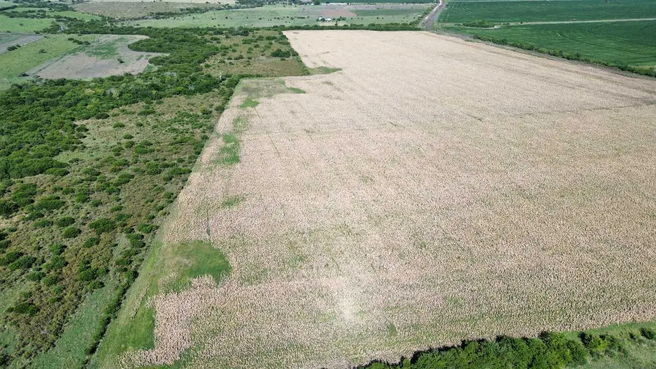 Terreno en venta en Concepción del Uruguay — foto 7
