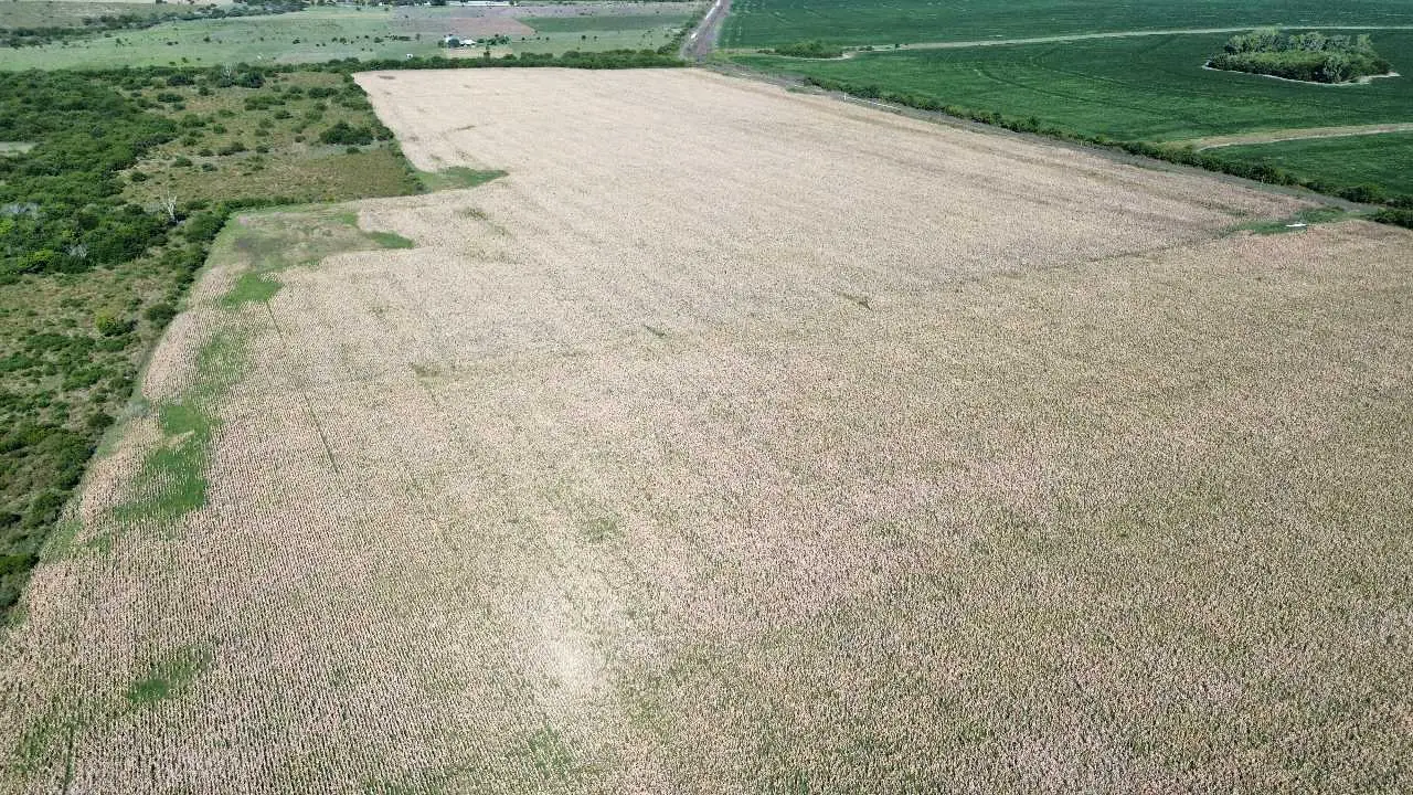 Terreno en venta en Concepción del Uruguay — foto 8