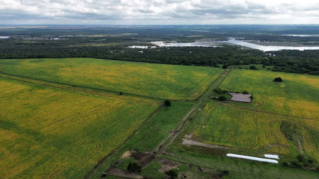 Terreno de 10 dormitorios en venta en Concepción del Uruguay — foto 2