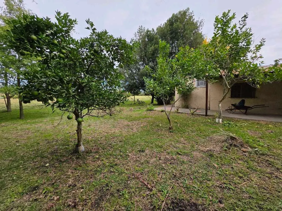 Casa de 1 dormitorio en venta en Herrera — foto 8