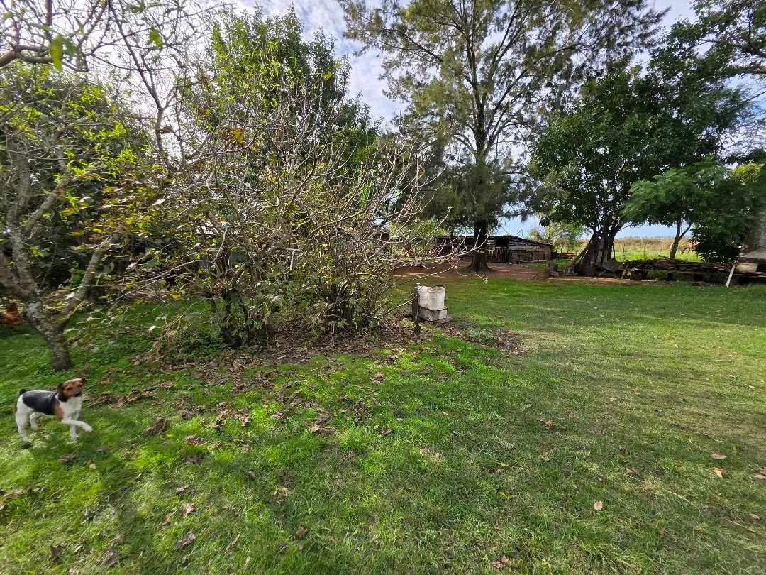Casa de 3 dormitorios en venta en Herrera — foto 7