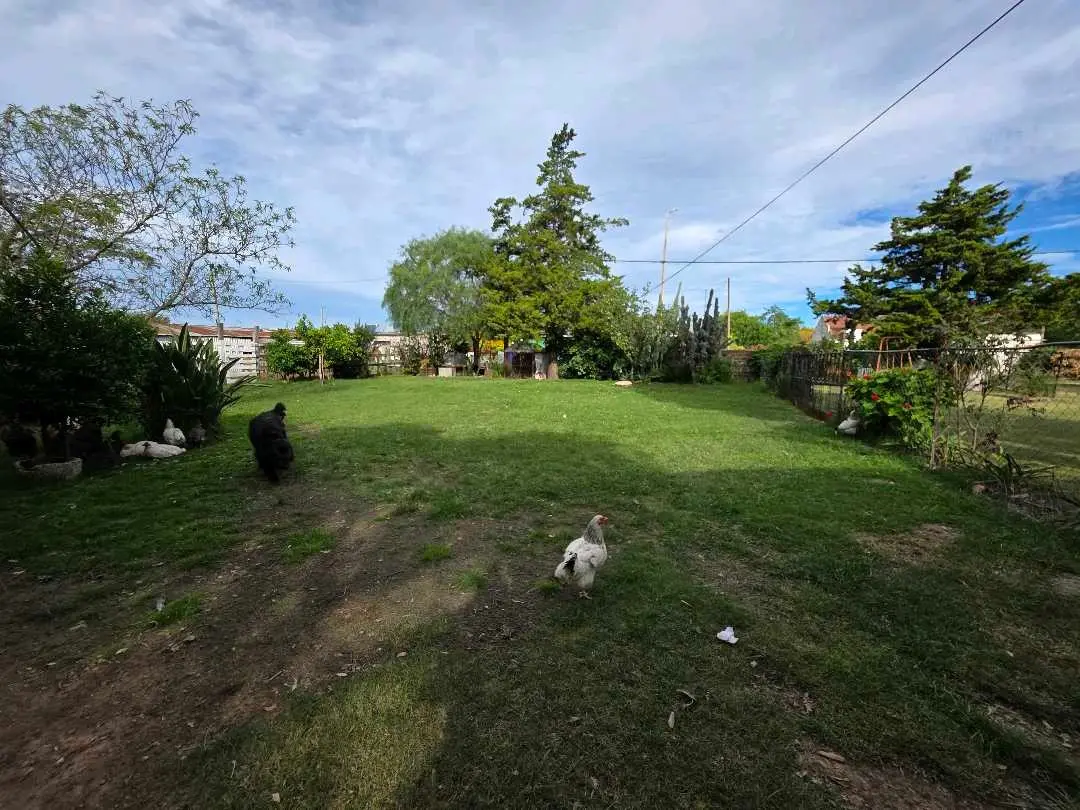 Casa de 3 dormitorios en venta en Herrera — foto 10