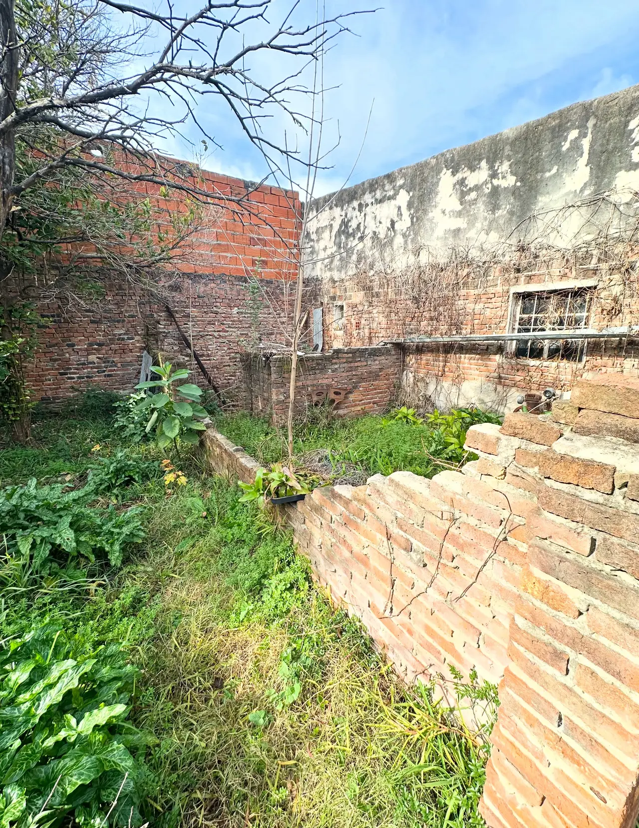 Comercial en venta en Concepción del Uruguay — foto 5