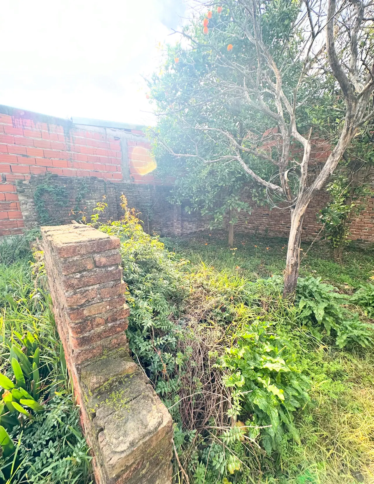 Comercial en venta en Concepción del Uruguay — foto 6