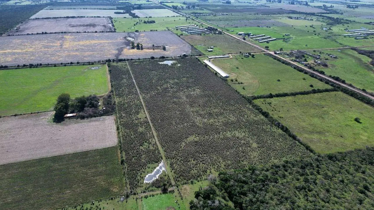 Terreno en venta en Caseros — foto 2