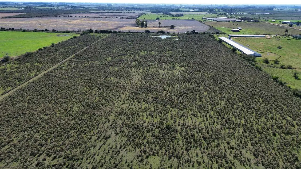 Terreno en venta en Caseros — foto 4