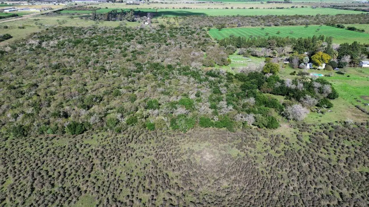 Terreno en venta en Caseros — foto 5