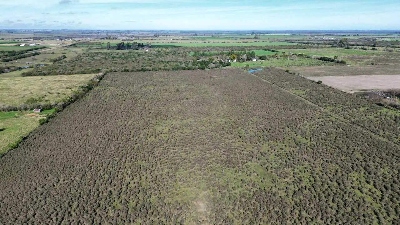 Terreno en venta en Caseros — foto 7