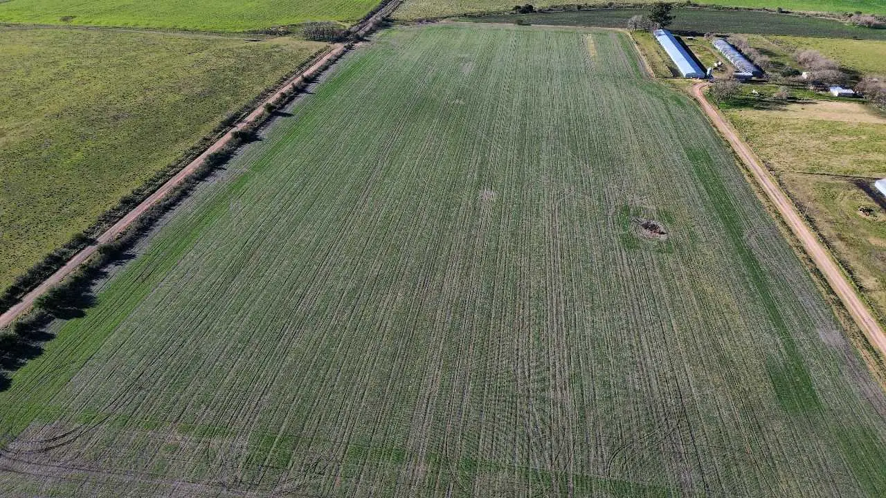 Terreno en venta en Colonia Elía — foto 5