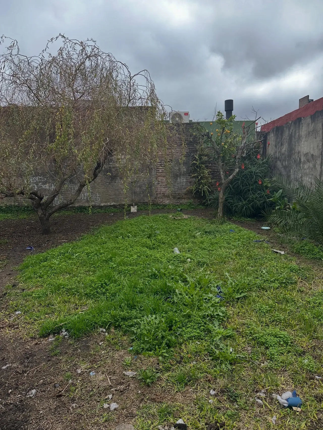 Casa de 3 dormitorios en venta en Concepción del Uruguay — foto 10