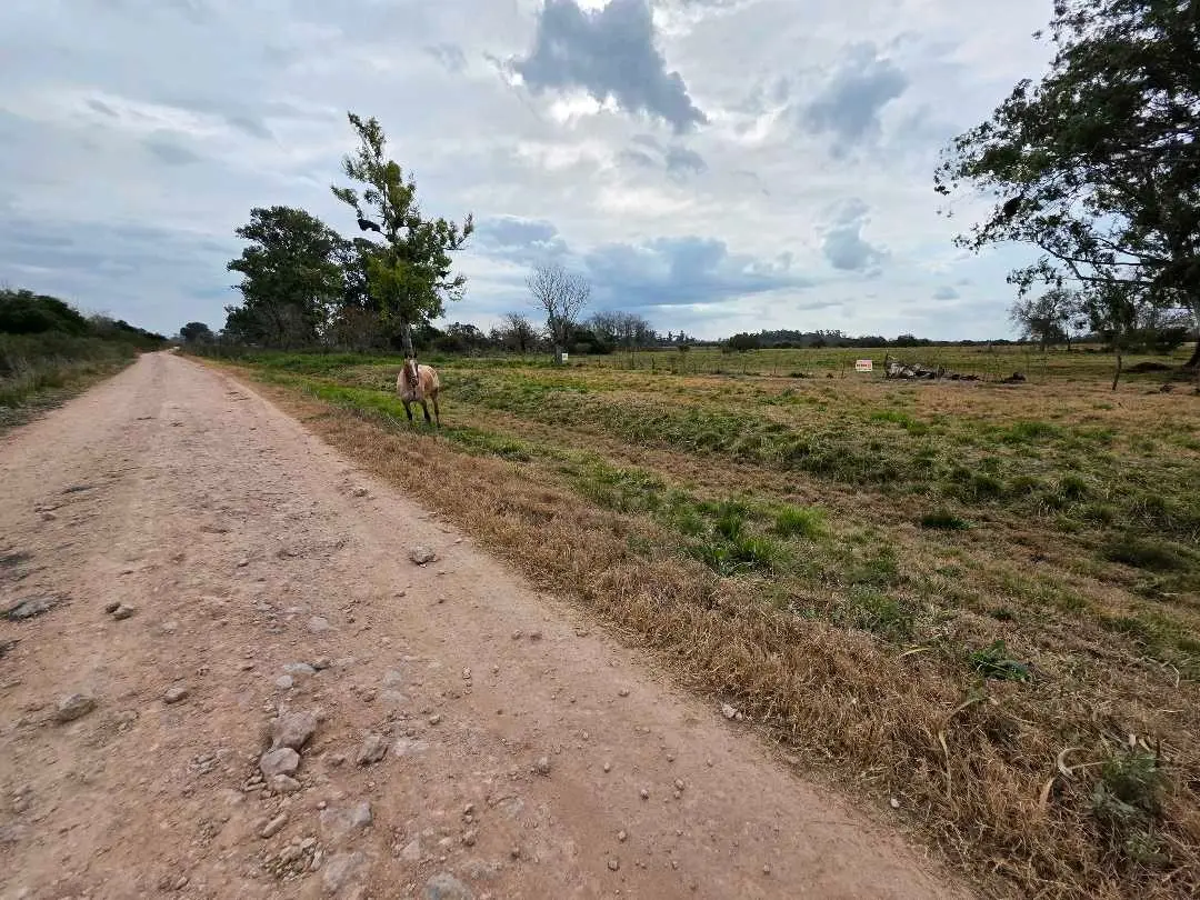 Terreno en venta en San Justo — foto 2
