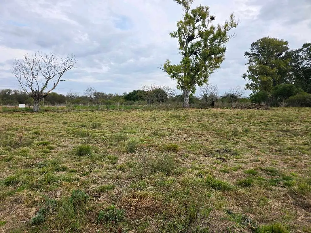 Terreno en venta en San Justo — foto 4