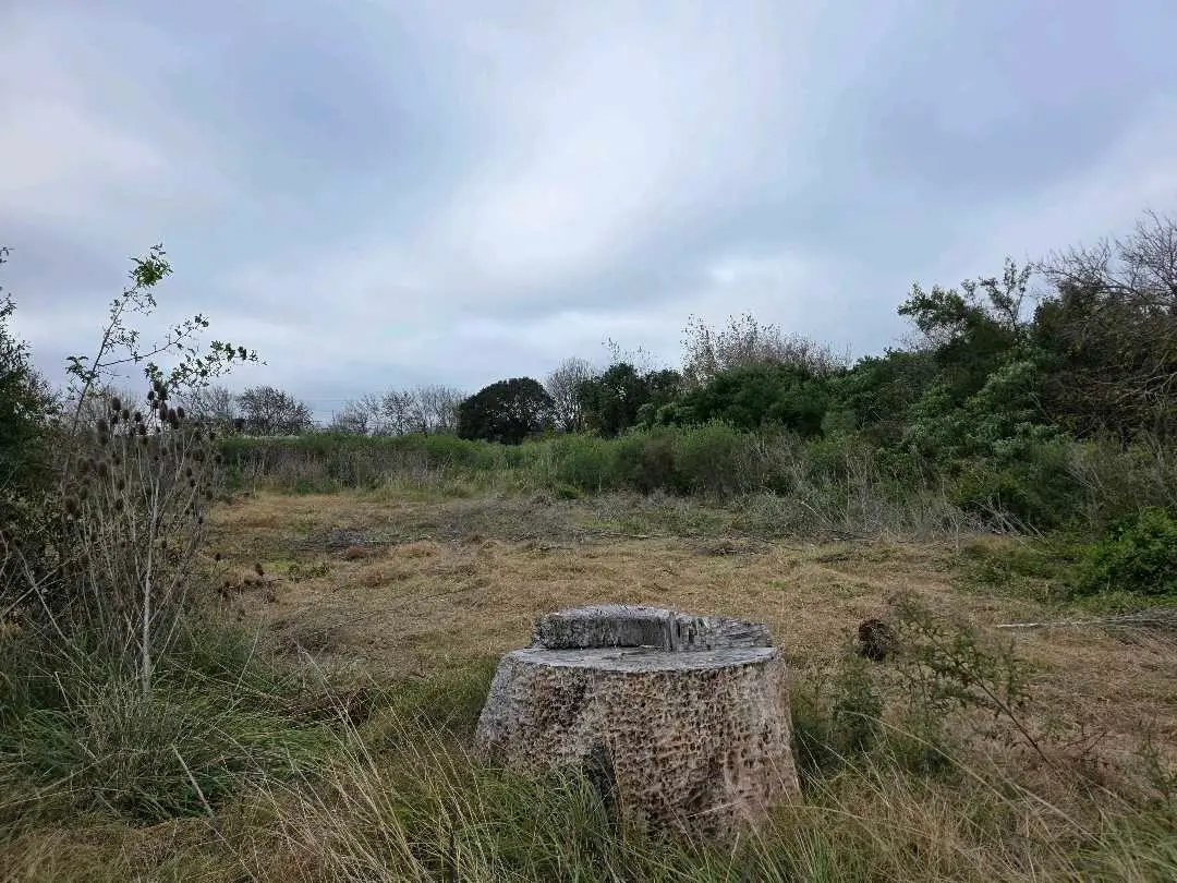 Terreno en venta en Caseros — foto 8