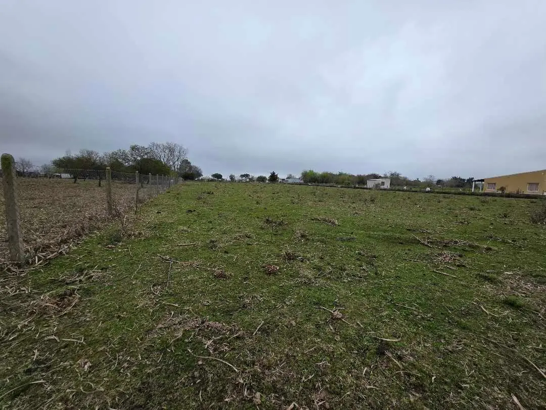 Terreno en venta en Herrera — foto 6