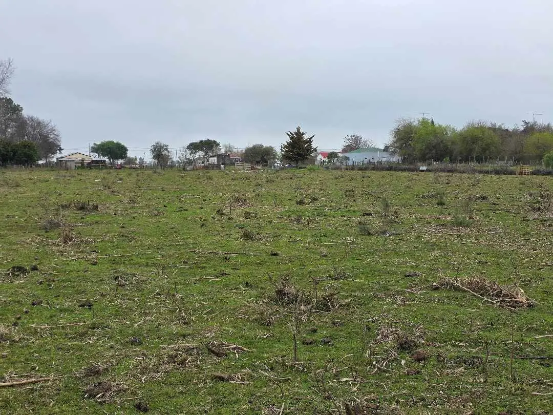 Terreno en venta en Herrera — foto 8