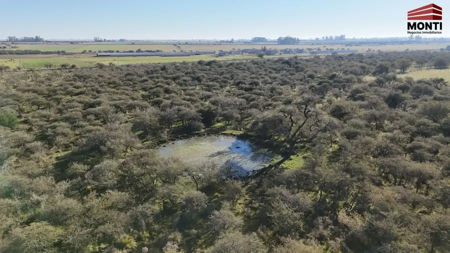 Terreno en venta en Herrera — foto 9