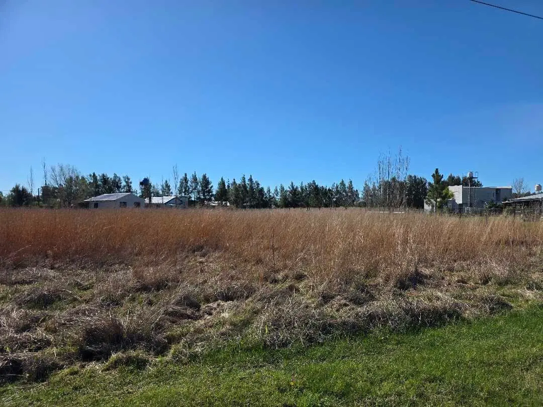 Terreno en venta en Concepción del Uruguay — foto 4