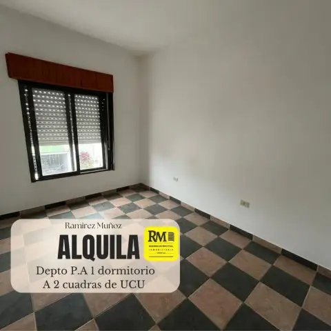 Departamento de 1 dormitorio en alquiler en Zona universidades, Concepción del Uruguay