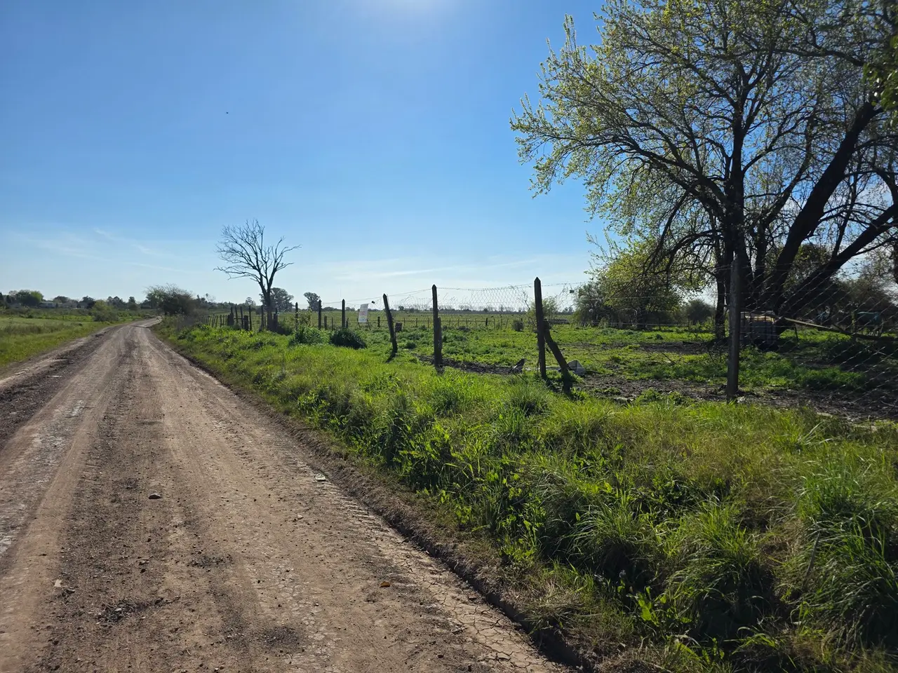 Terreno en venta en Herrera — foto 6