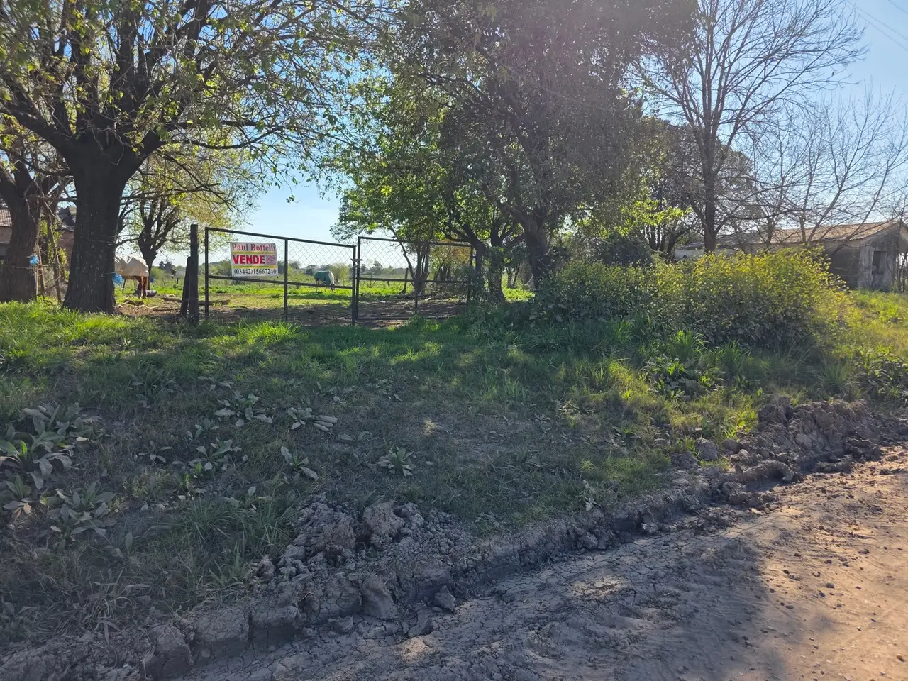 Terreno en venta en Herrera — foto 7