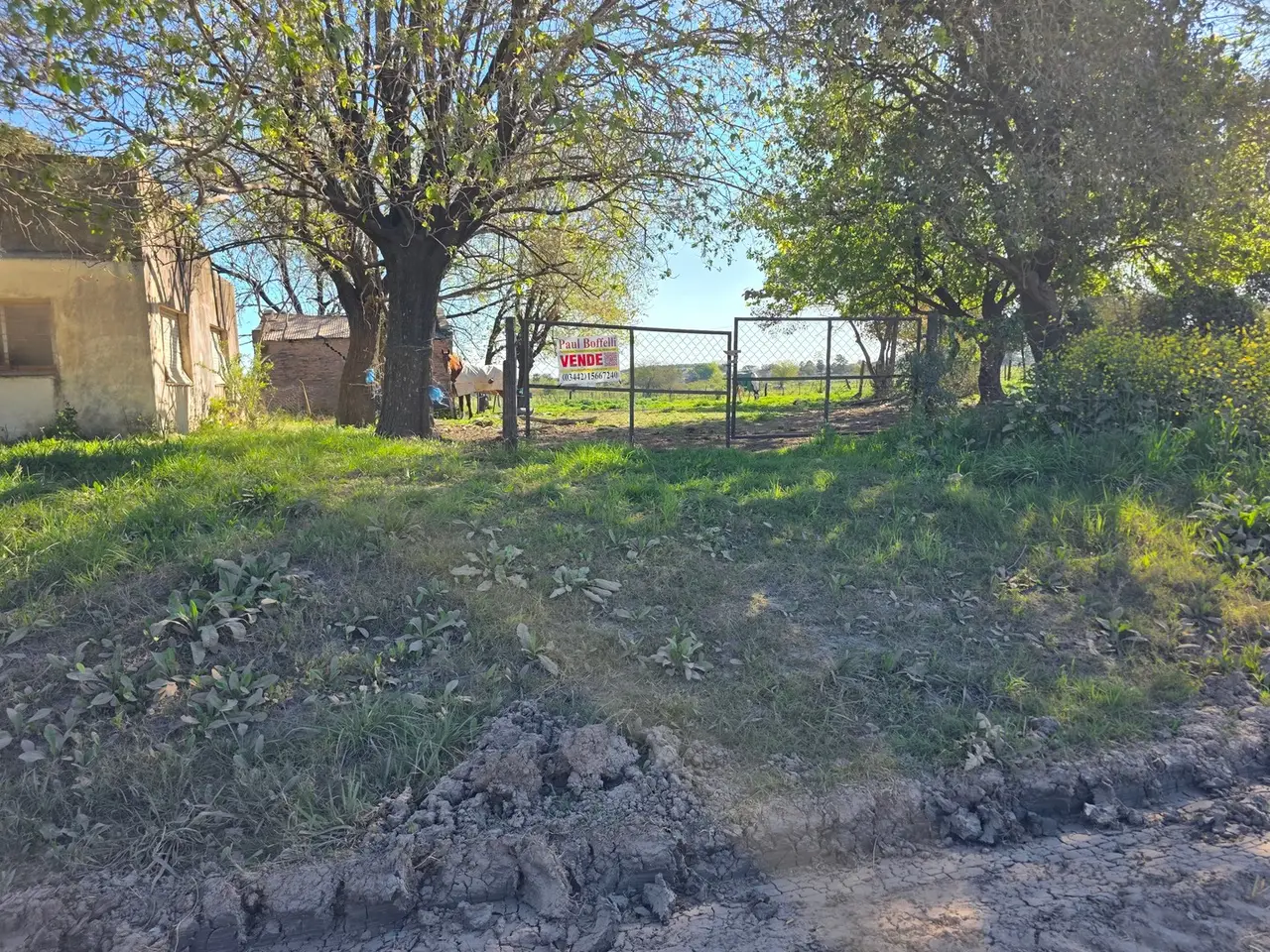 Terreno en venta en Herrera — foto 8