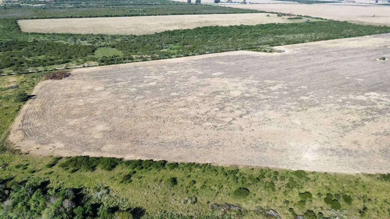 Terreno en venta en Colonia Elía — foto 1