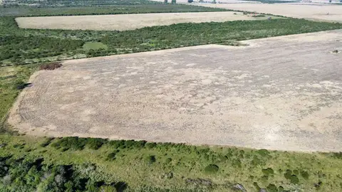 Terreno en venta en Colonia Elía