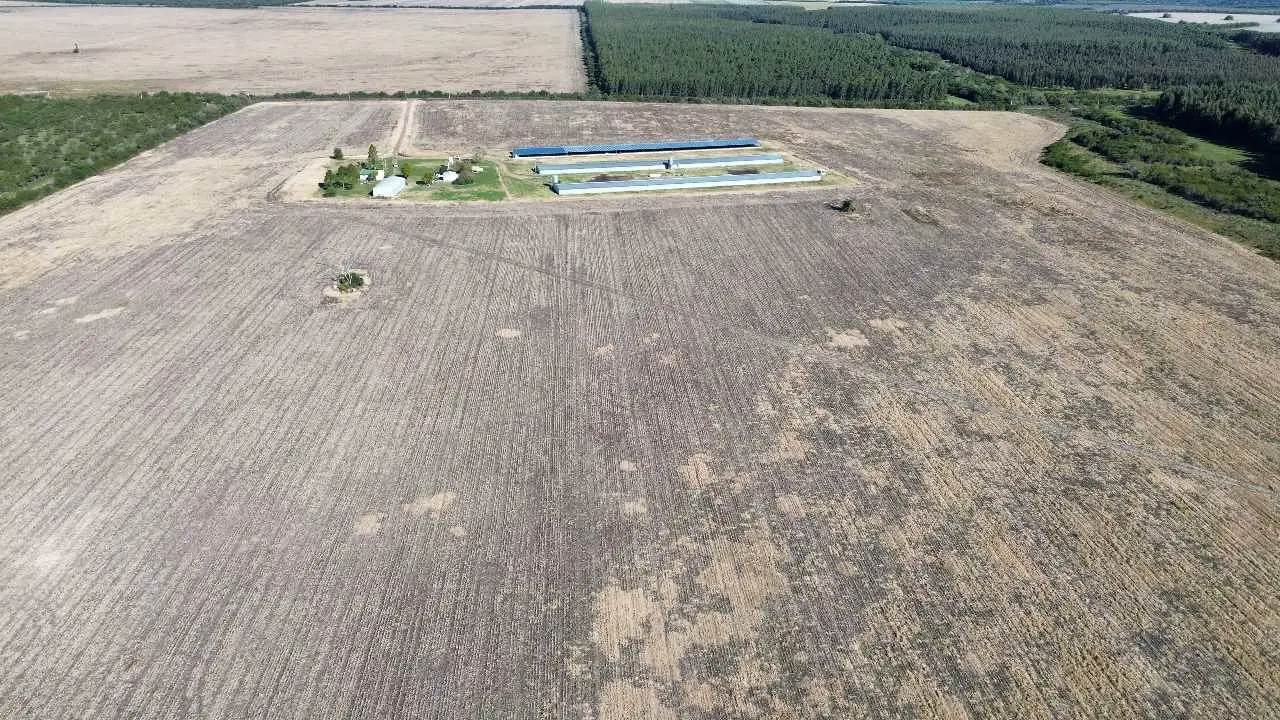Terreno en venta en Colonia Elía — foto 3