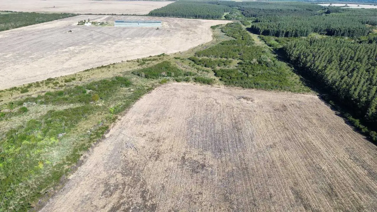 Terreno en venta en Colonia Elía — foto 4