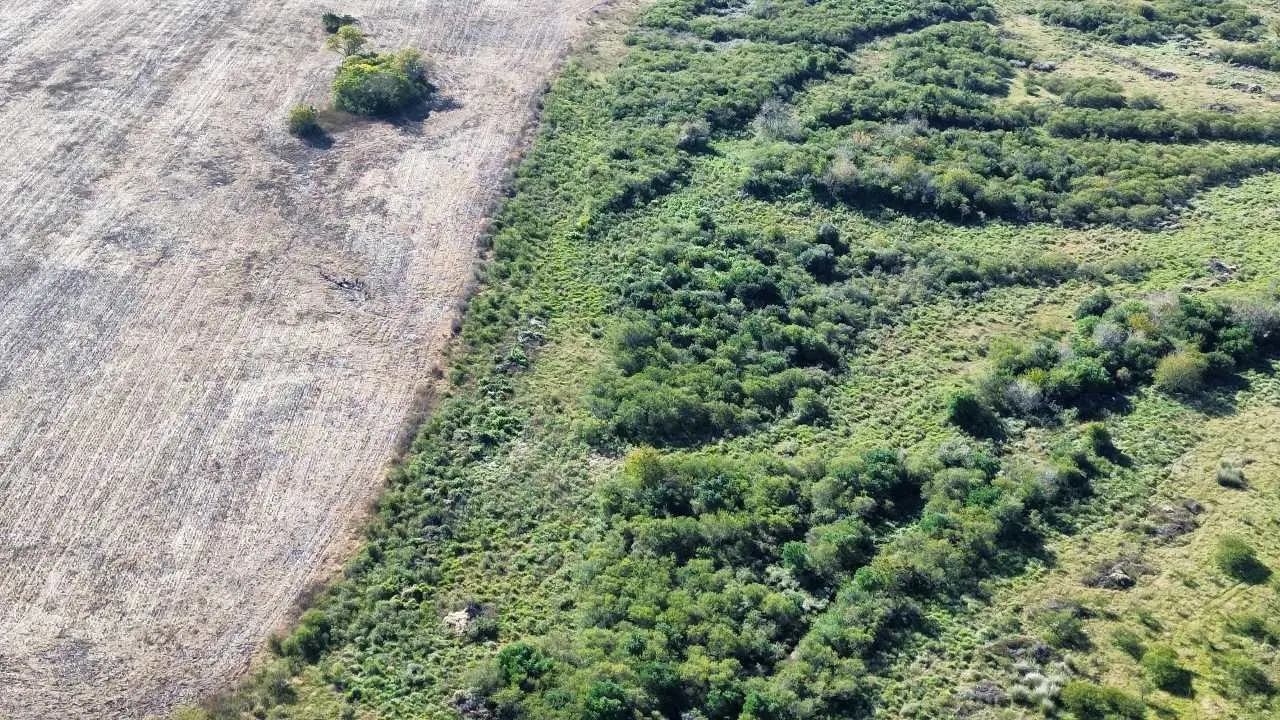 Terreno en venta en Colonia Elía — foto 9