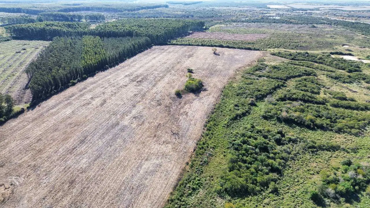 Terreno en venta en Colonia Elía — foto 10
