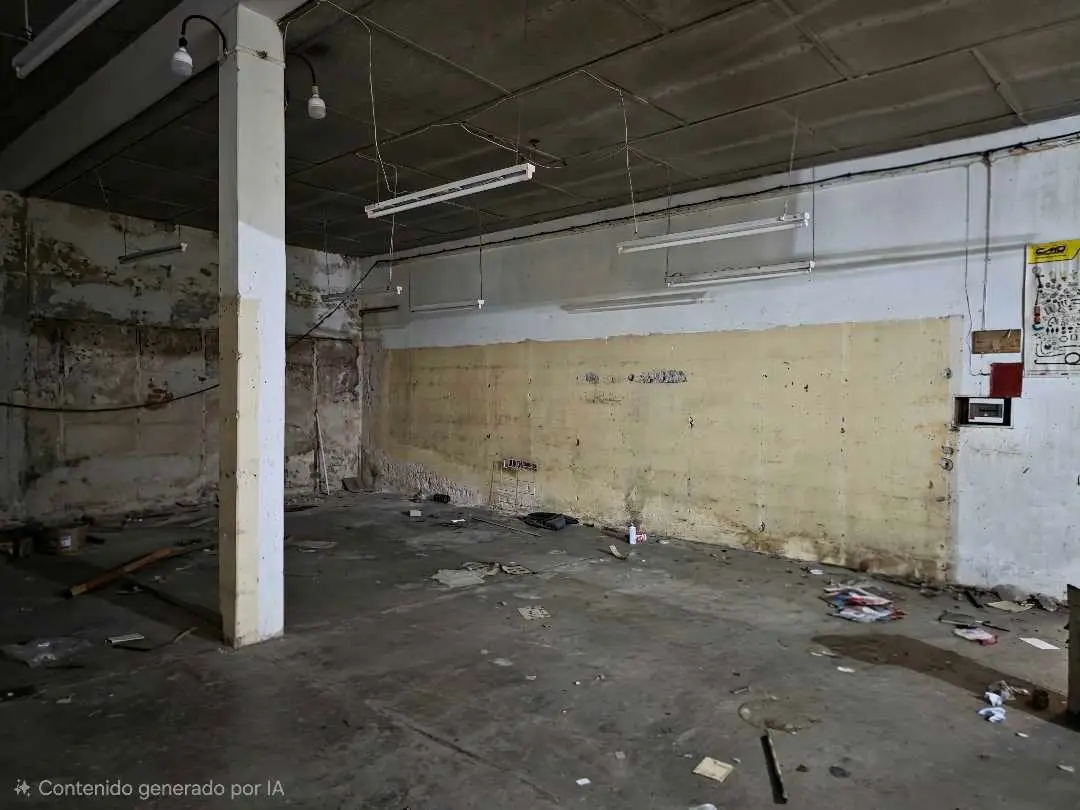 Comercial en venta en Basavilbaso — foto 8