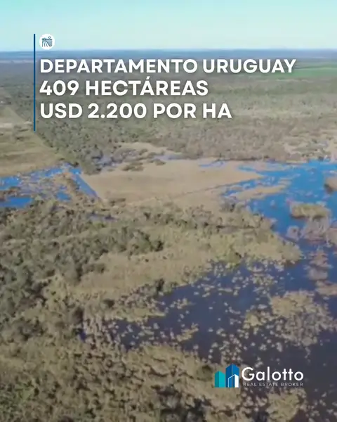 Terreno en venta en Colonia Elía