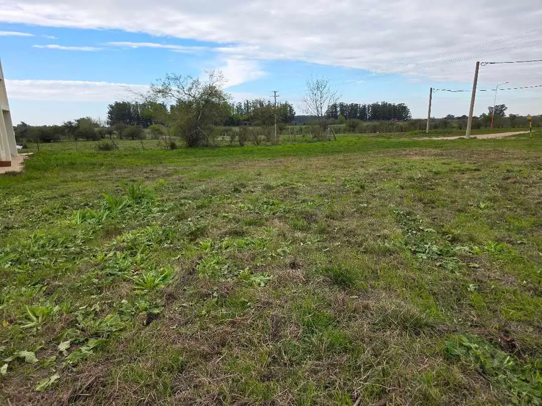 Terreno en venta en Caseros — foto 9